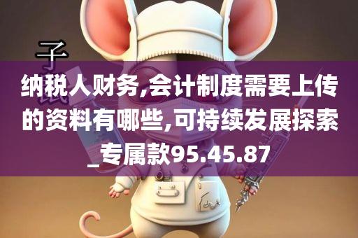 纳税人财务,会计制度需要上传的资料有哪些,可持续发展探索_专属款95.45.87