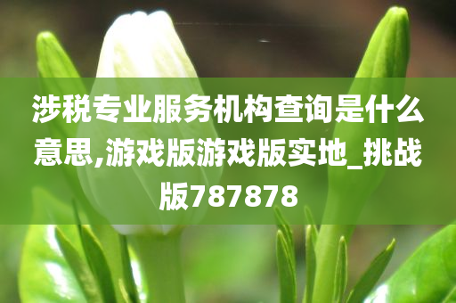 涉税专业服务机构查询是什么意思,游戏版游戏版实地_挑战版787878