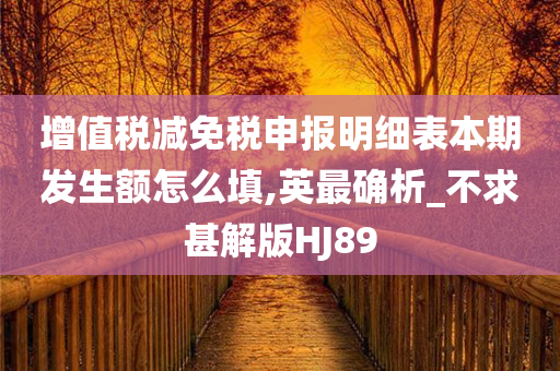 增值税减免税申报明细表本期发生额怎么填,英最确析_不求甚解版HJ89