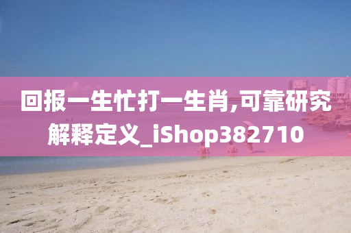 回报一生忙打一生肖,可靠研究解释定义_iShop382710