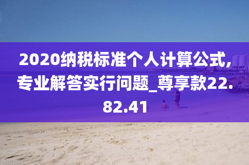 2020纳税标准个人计算公式,专业解答实行问题_尊享款22.82.41