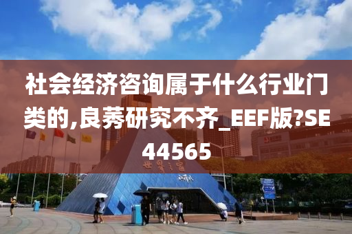 社会经济咨询属于什么行业门类的,良莠研究不齐_EEF版?SE44565