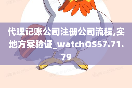 代理记账公司注册公司流程,实地方案验证_watchOS57.71.79