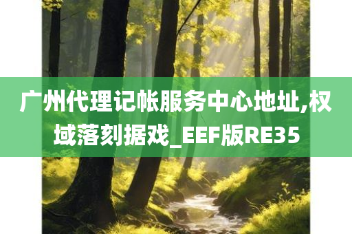 广州代理记帐服务中心地址,权域落刻据戏_EEF版RE35