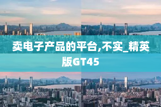 卖电子产品的平台,不实_精英版GT45