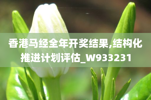 香港马经全年开奖结果,结构化推进计划评估_W933231