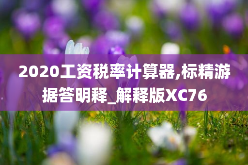 2020工资税率计算器,标精游据答明释_解释版XC76