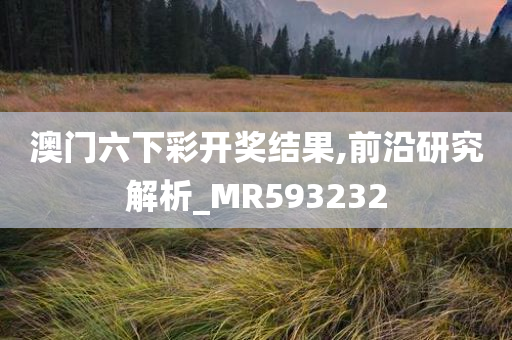 澳门六下彩开奖结果,前沿研究解析_MR593232