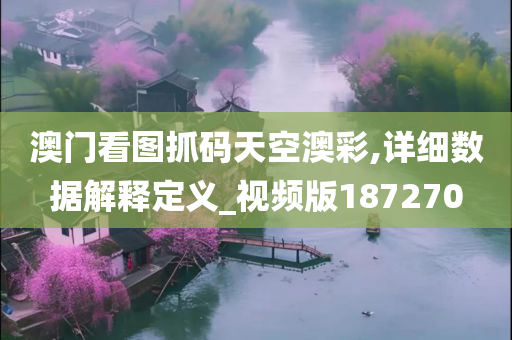 澳门看图抓码天空澳彩,详细数据解释定义_视频版187270