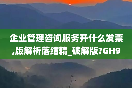 企业管理咨询服务开什么发票,版解析落结精_破解版?GH9