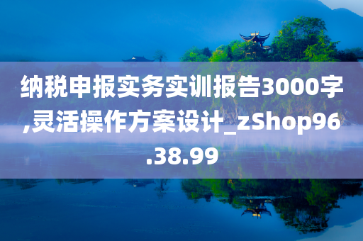 纳税申报实务实训报告3000字,灵活操作方案设计_zShop96.38.99