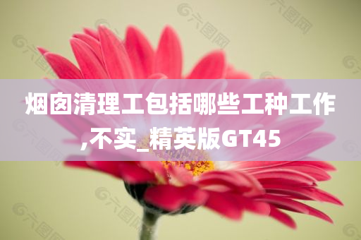 烟囱清理工包括哪些工种工作,不实_精英版GT45