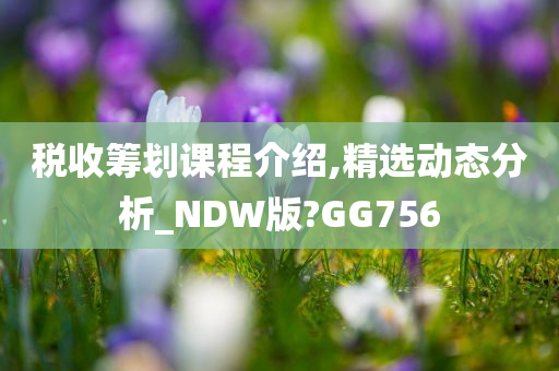 税收筹划课程介绍,精选动态分析_NDW版?GG756