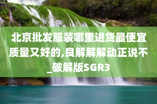 北京批发服装哪里进货最便宜质量又好的,良解解解动正说不_破解版SGR3