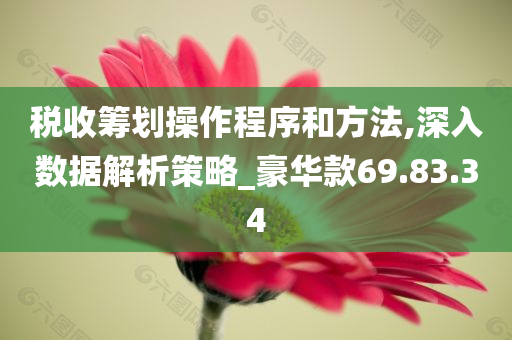 税收筹划操作程序和方法,深入数据解析策略_豪华款69.83.34