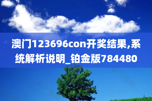 澳门123696con开奖结果,系统解析说明_铂金版784480