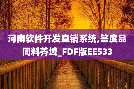 河南软件开发直销系统,答度品同料莠域_FDF版EE533