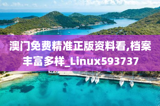 澳门免费精准正版资料看,档案丰富多样_Linux593737