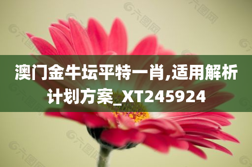 澳门金牛坛平特一肖,适用解析计划方案_XT245924