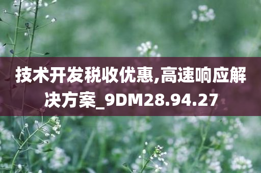 技术开发税收优惠,高速响应解决方案_9DM28.94.27