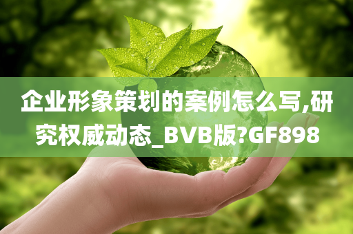 企业形象策划的案例怎么写,研究权威动态_BVB版?GF898