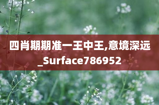 四肖期期准一王中王,意境深远_Surface786952