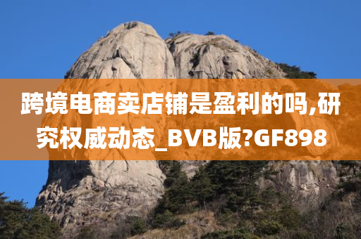 跨境电商卖店铺是盈利的吗,研究权威动态_BVB版?GF898