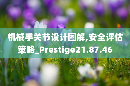 机械手关节设计图解,安全评估策略_Prestige21.87.46