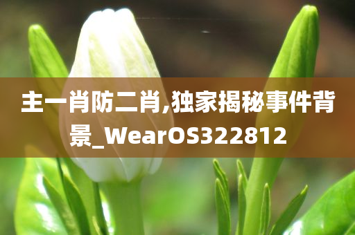 主一肖防二肖,独家揭秘事件背景_WearOS322812