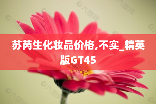 苏芮生化妆品价格,不实_精英版GT45