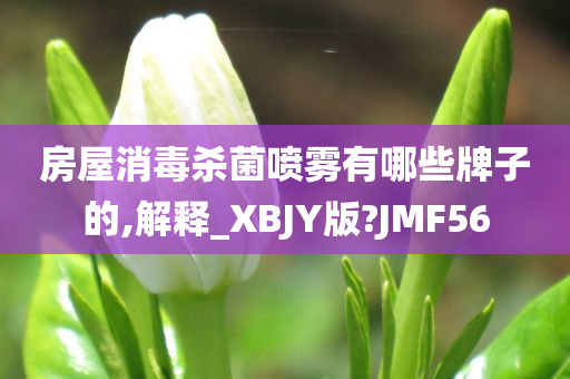 房屋消毒杀菌喷雾有哪些牌子的,解释_XBJY版?JMF56