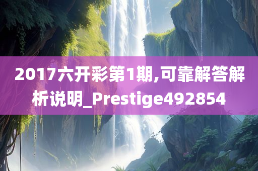 2017六开彩第1期,可靠解答解析说明_Prestige492854