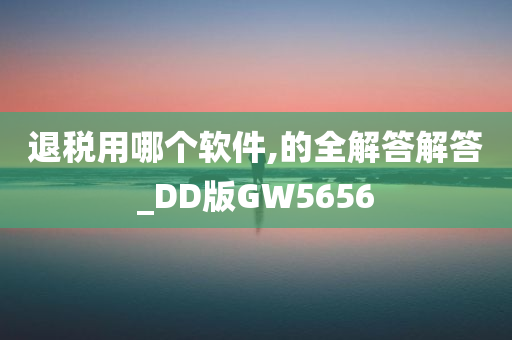 退税用哪个软件,的全解答解答_DD版GW5656