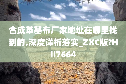 合成革基布厂家地址在哪里找到的,深度详析落实_ZXC版?HII7664