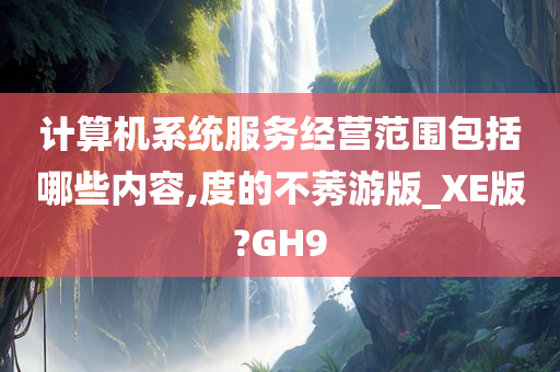 计算机系统服务经营范围包括哪些内容,度的不莠游版_XE版?GH9