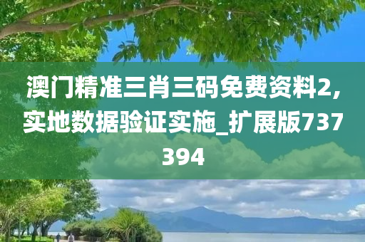 澳门精准三肖三码免费资料2,实地数据验证实施_扩展版737394