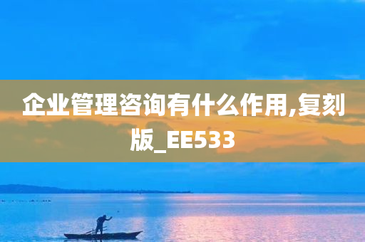 企业管理咨询有什么作用,复刻版_EE533