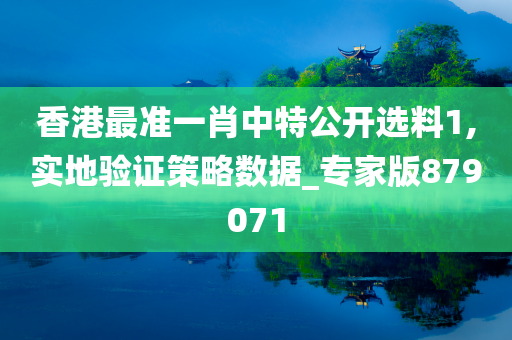 香港最准一肖中特公开选料1,实地验证策略数据_专家版879071