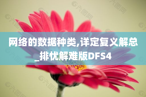 网络的数据种类,详定复义解总_排忧解难版DFS4