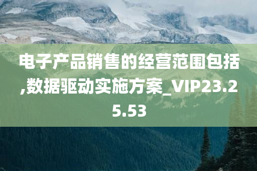 电子产品销售的经营范围包括,数据驱动实施方案_VIP23.25.53