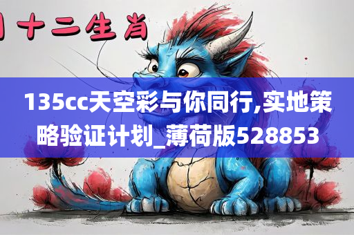 135cc天空彩与你同行,实地策略验证计划_薄荷版528853