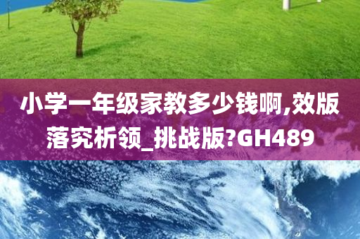 小学一年级家教多少钱啊,效版落究析领_挑战版?GH489