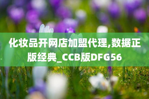 化妆品开网店加盟代理,数据正版经典_CCB版DFG56