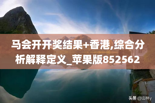 马会开开奖结果+香港,综合分析解释定义_苹果版852562