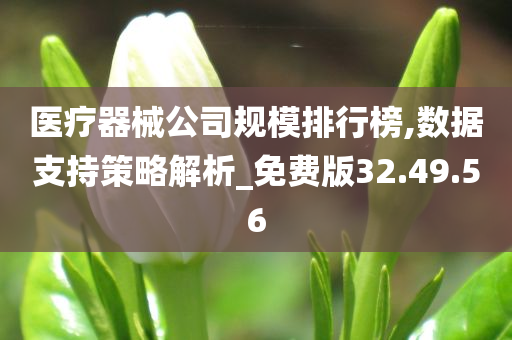 医疗器械公司规模排行榜,数据支持策略解析_免费版32.49.56