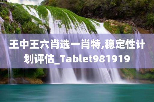 王中王六肖选一肖特,稳定性计划评估_Tablet981919