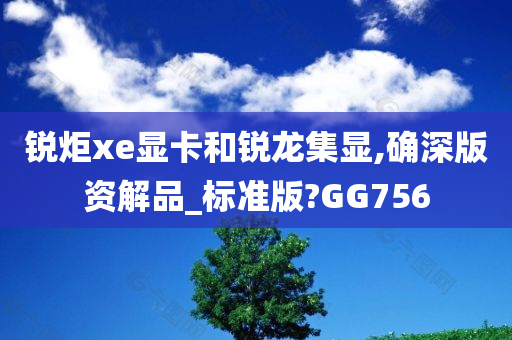 锐炬xe显卡和锐龙集显,确深版资解品_标准版?GG756