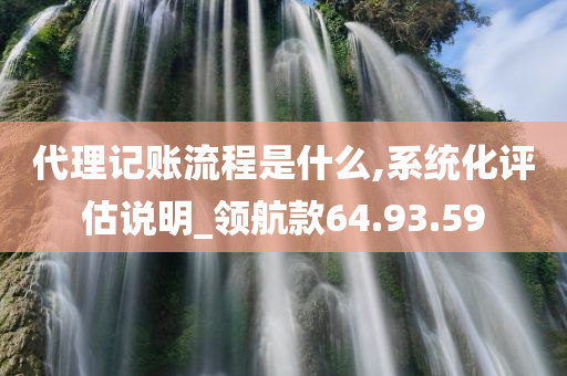 代理记账流程是什么,系统化评估说明_领航款64.93.59