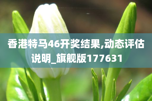 香港特马46开奖结果,动态评估说明_旗舰版177631