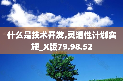 什么是技术开发,灵活性计划实施_X版79.98.52